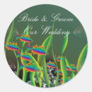 Buscar algas pegatinas Fondo marino