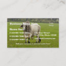 Buscar bull tarjetas de visita Negocio