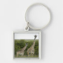 Buscar africa llaveros Naturaleza