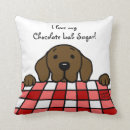 Buscar chocolate labrador cojines Divertido