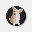 Buscar dog imanes Moderno