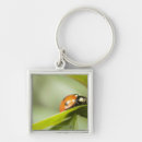 Buscar mariquita llaveros Horizontal