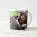 Buscar chimpanzee Monkey