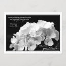 Buscar hydrangea tarjetas Muerte