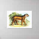 Buscar tigres lienzos Paisaje