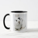 Buscar conejo negro tazas Blanco