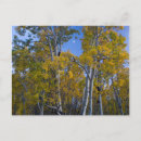 Buscar anochecer postales Azul