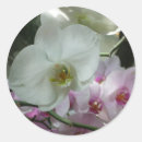 Buscar orquídea blanca pegatinas General y unisex