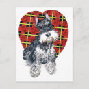 Buscar schnauzers postales Cachorro