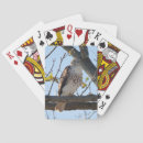 Buscar rapaz barajas de cartas Fauna