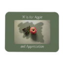 Buscar apples imanes Profesores