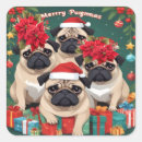 Buscar pug postales Lindos puños