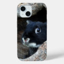 Buscar conejito lindo iphone fundas Animales lindos