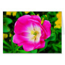 Buscar st james postales Flores