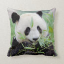 Buscar oso panda lindo cojines General y unisex