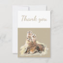Buscar foca tarjetas Naturaleza