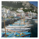 Buscar capri azulejos Puerto