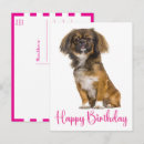 Buscar cachorro de león tarjetas Para ella