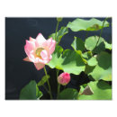 Buscar gigante posters Jardín