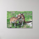 Buscar joey arte Australia