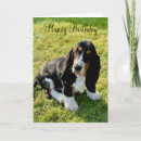 Buscar basset hound tarjetas Cachorro
