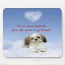 Buscar shihtzu electronica Perrito