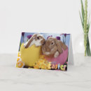 Buscar tarjetas de pascua Feliz