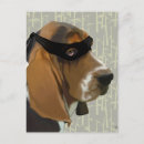 Buscar ninja postales Perritos