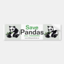 Buscar panda pegatinas parachoque Oso