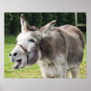 Buscar mamíferos posters Al aire libre