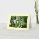 Buscar comandantes tarjetas Amor