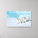 Buscar tazas lienzos Animales