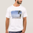 Buscar manzanilla ropa Costa