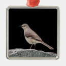 Buscar burro adornos Naturaleza