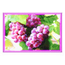 Buscar árboles frutales posters Uvas