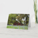 Buscar tejas tarjetas Bluebonnets
