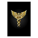 Buscar caduceo posters Graduado