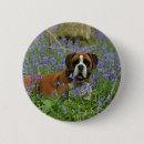 Buscar pone chapas Foto