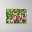 Buscar bodega lienzos Naturaleza