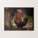 Buscar gallos puzzles Naturaleza