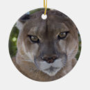 Buscar puma adornos Fauna