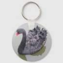 Buscar cisne negro llaveros Naturaleza