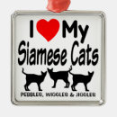 Buscar gatos siameses adornos 9 º gata