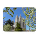 Buscar slc Lds