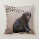 Buscar puppy cojines Labrador