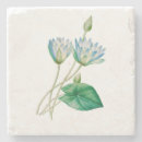 Buscar flor de loto posavasos Elegante