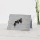 Buscar buceador tarjetas Agua