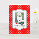 Buscar profesor de inglés tarjetas Libros