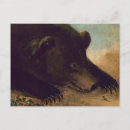 Buscar oso grizzly postales Vida silvestre