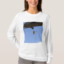Buscar hh 60 camisetas Csar